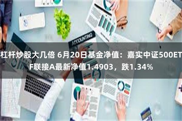 杠杆炒股大几倍 6月20日基金净值：嘉实中证500ETF联接A最新净值1.4903，跌1.34%