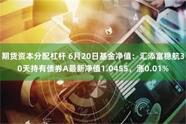 期货资本分配杠杆 6月20日基金净值：汇添富稳航30天持有债券A最新净值1.0455，涨0.01%