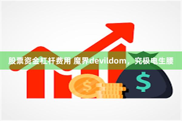 股票资金杠杆费用 魔界devildom，究极电生腰