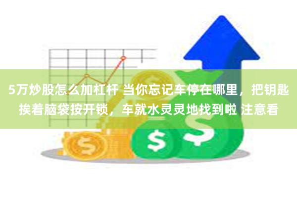 5万炒股怎么加杠杆 当你忘记车停在哪里，把钥匙挨着脑袋按开锁，车就水灵灵地找到啦 注意看