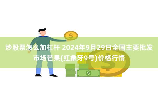 炒股票怎么加杠杆 2024年9月29日全国主要批发市场芒果(红象牙9号)价格行情