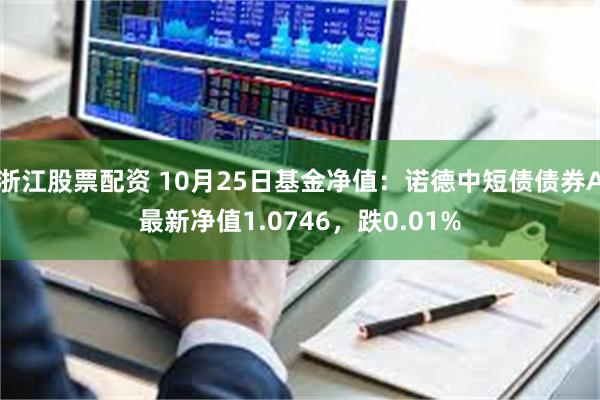 浙江股票配资 10月25日基金净值：诺德中短债债券A最新净值1.0746，跌0.01%