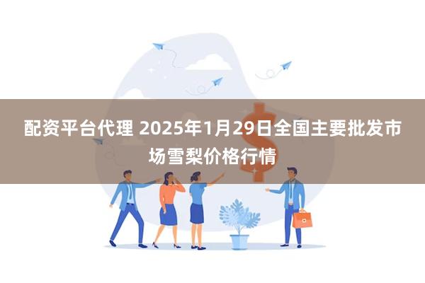 配资平台代理 2025年1月29日全国主要批发市场雪梨价格行情