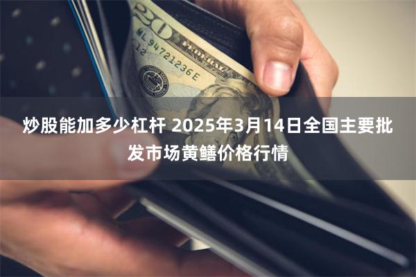 炒股能加多少杠杆 2025年3月14日全国主要批发市场黄鳝价格行情